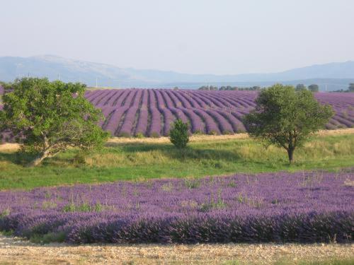 Ferme Para Lou Sainte-Croix-du-Verdon Eksteriør billede